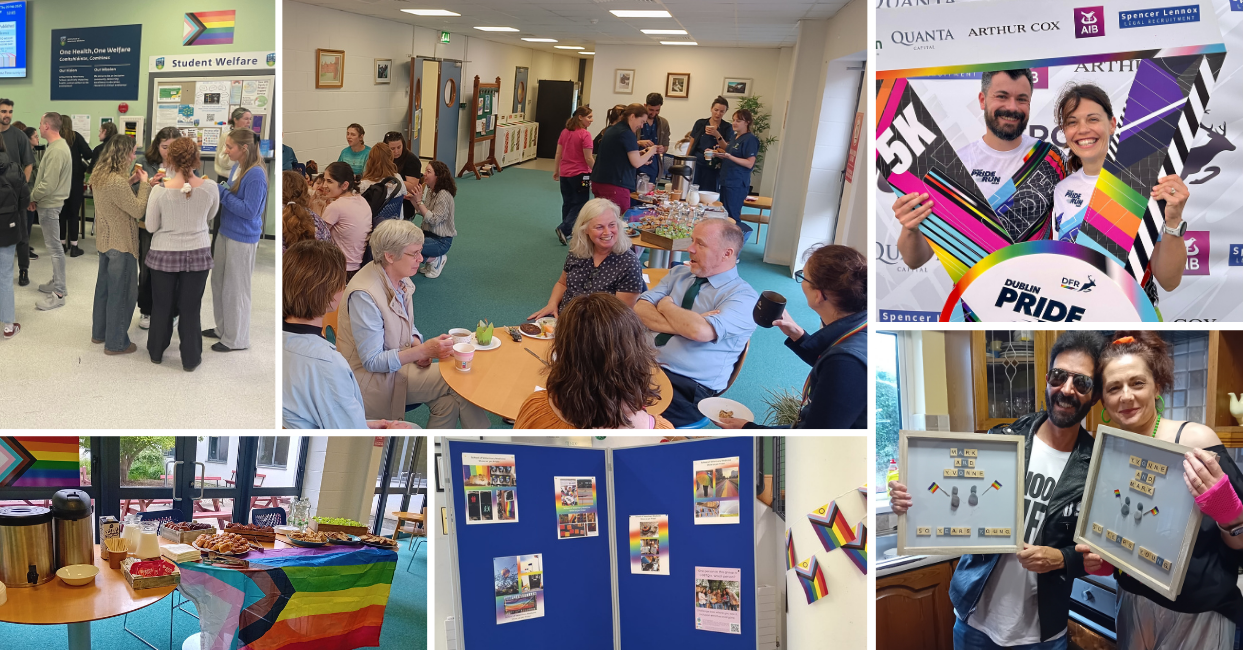 Collage of images from UCD Veterinary Hospital's Pride 2025 celebrations. Photos include staff and students at a Pride-themed coffee morning, people chatting over tea and treats, a table with rainbow flags and refreshments, a foyer display board with “Show Us Yer Pride” submissions, colleagues holding framed messages of support, and participants posing at the Dublin Pride Run with colourful props.